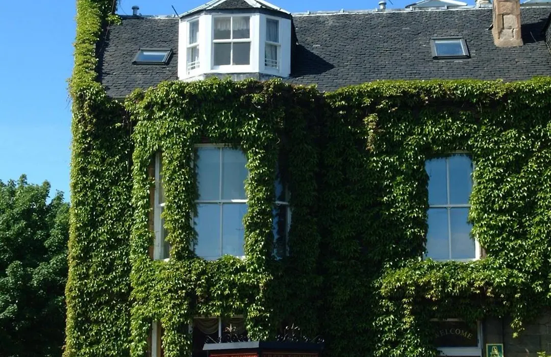 A-Haven Townhouse Hotel-1